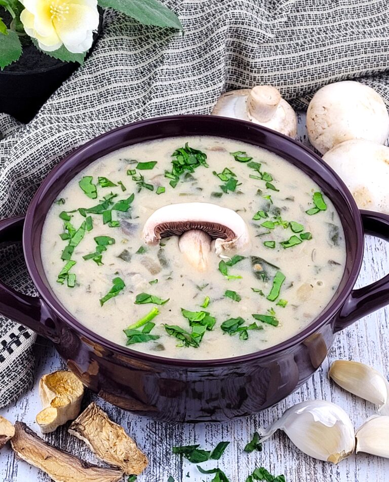 aldonas kitchen mushroom soup